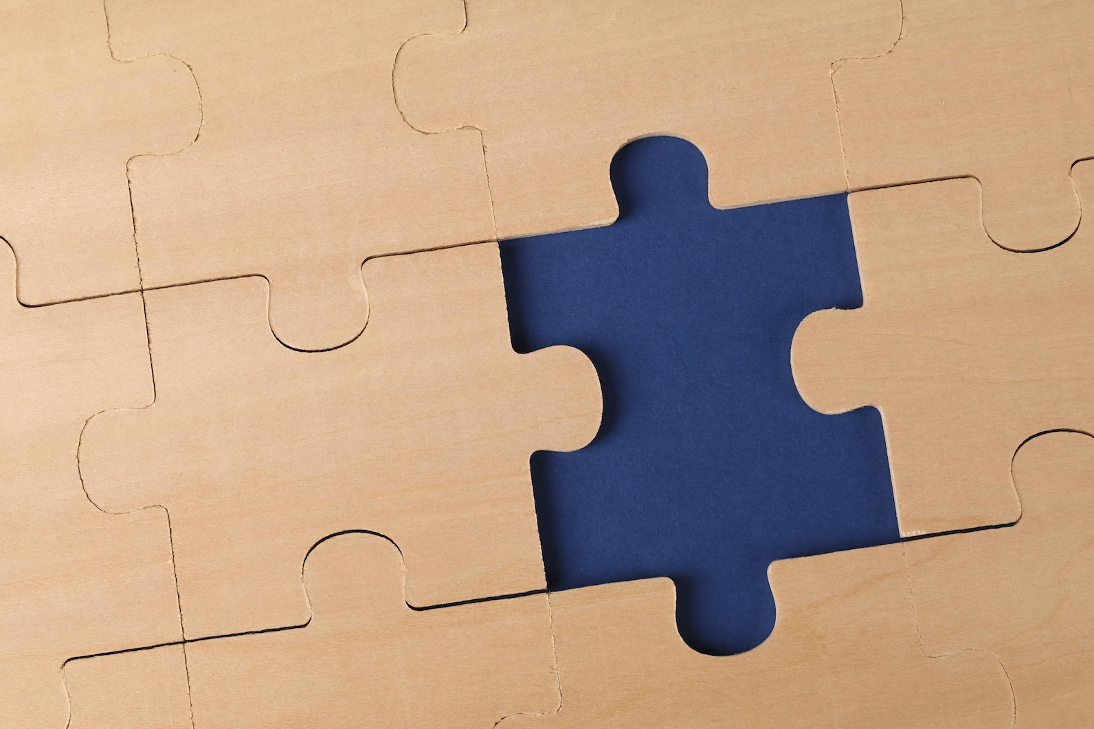 Puzzle piece representing problem solving